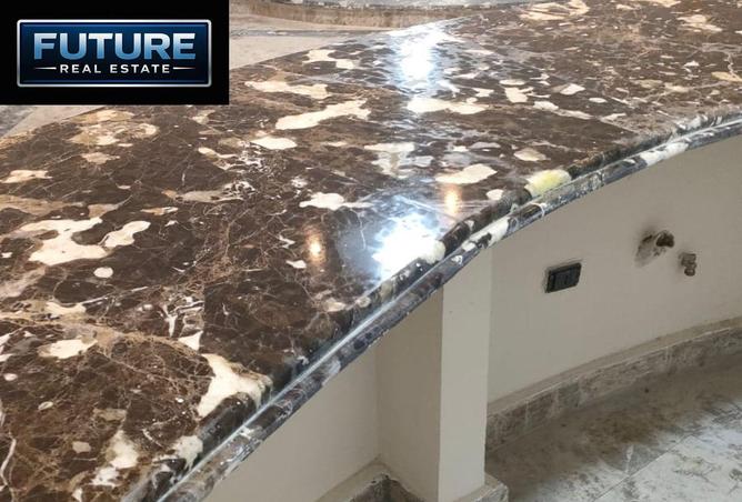 8647728 - Property Image 3