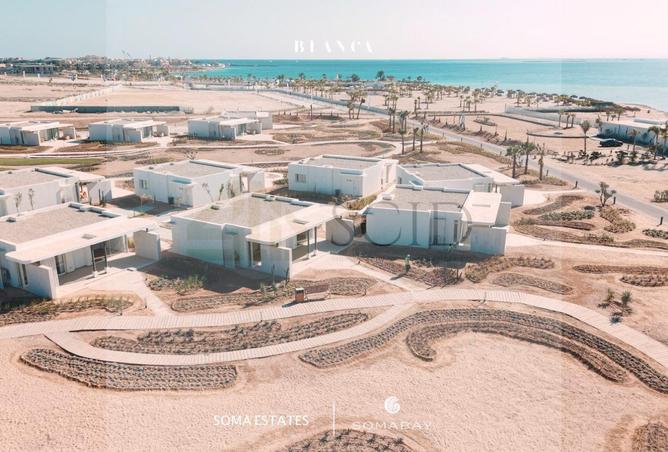 66427713 - صورة العقار 3