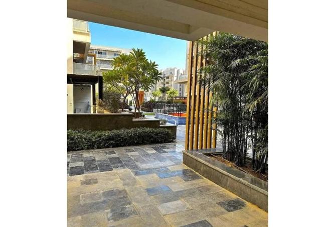 54239332 - Property Image 3