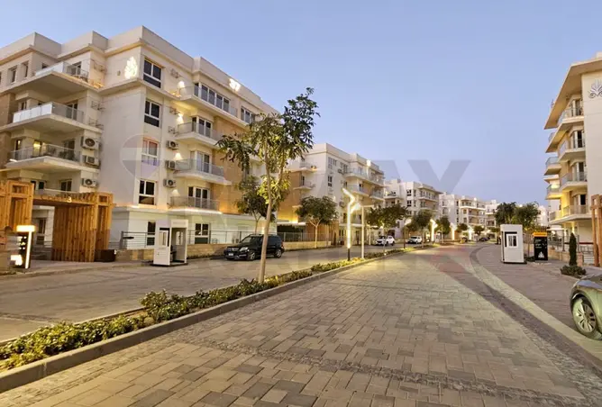 107979422 - Property Image 3