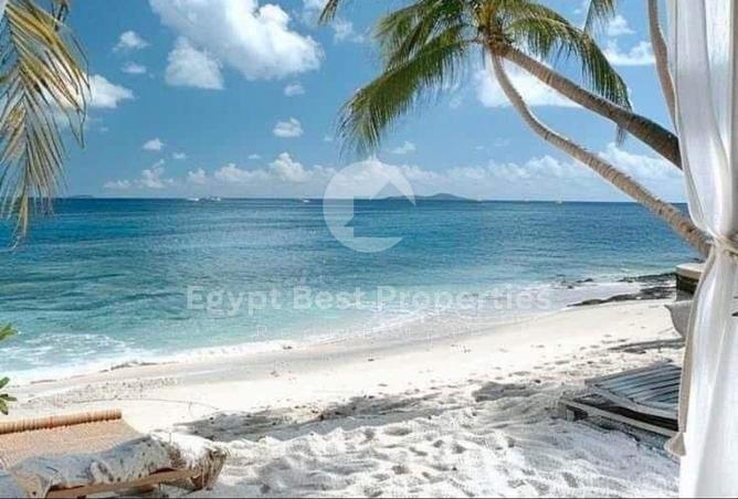 91856036 - الصورة الرئيسية للعقار