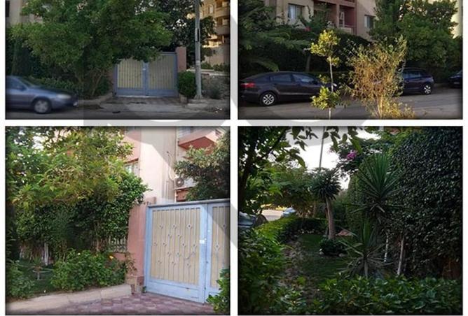 67735416 - الصورة الرئيسية للعقار