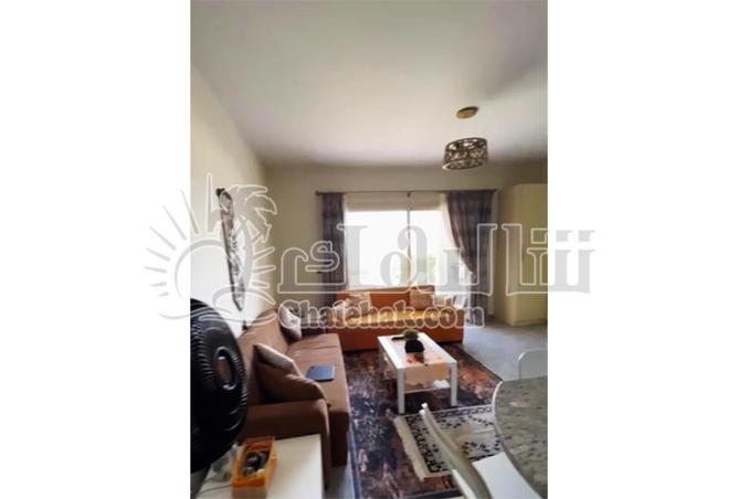 65920272 - Property Image 3