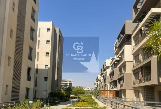 8463703 - Property Image 2