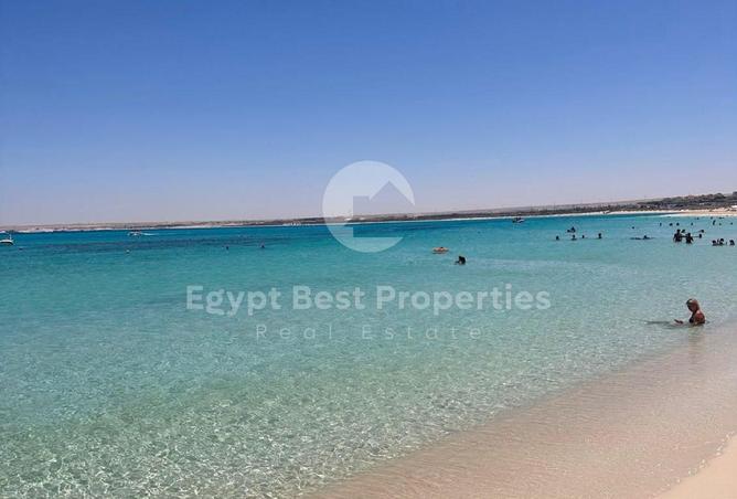 102077602 - Property Image 3