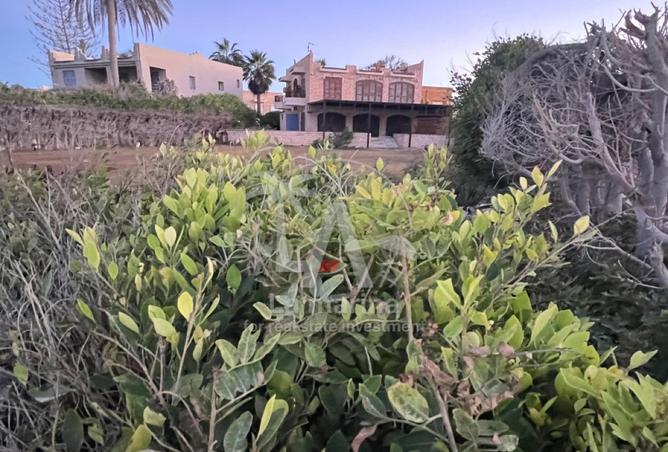 8404647 - صورة العقار 3