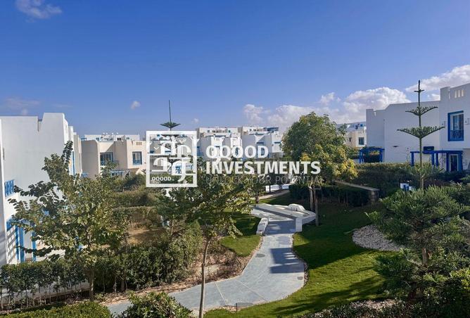 101769783 - Property Image 3