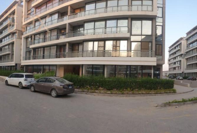 91851776 - Property Image 2