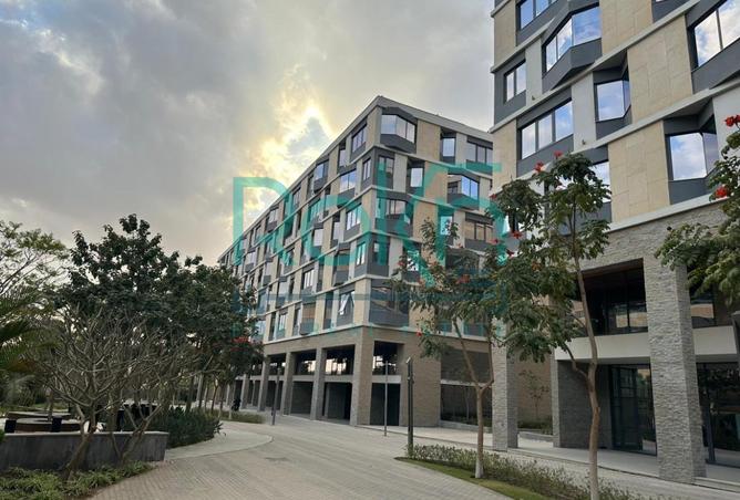 98010491 - Property Image 2