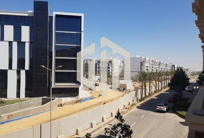 81043624 - Property Image 3