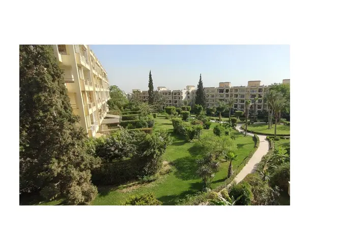 8686068 - صورة العقار 3