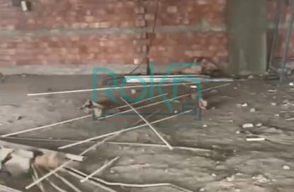 محل - استوديو للايجار في سنترادا بلازا - ميدان جهينة - مدينة 6 أكتوبر - الجيزة محل - استوديو للايجار في سنترادا بلازا - ميدان جهينة - مدينة 6 أكتوبر - الجيزة