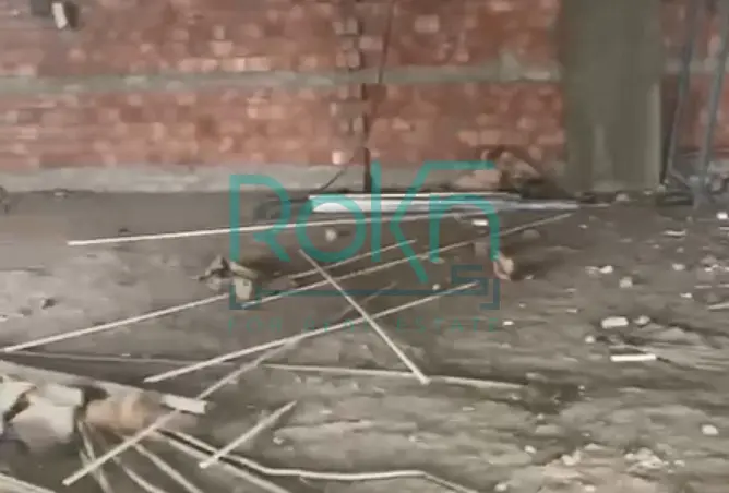 117538367 - Property Image 3
