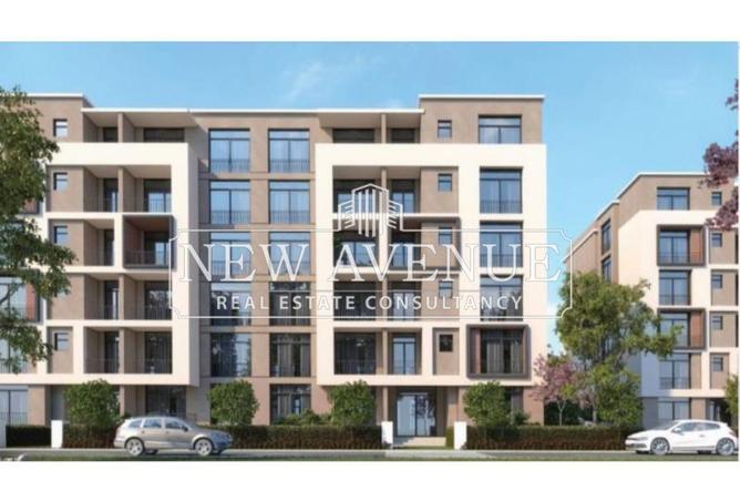 74040159 - Property Image 3