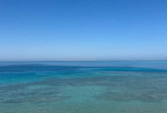 88121551 - صورة العقار 2