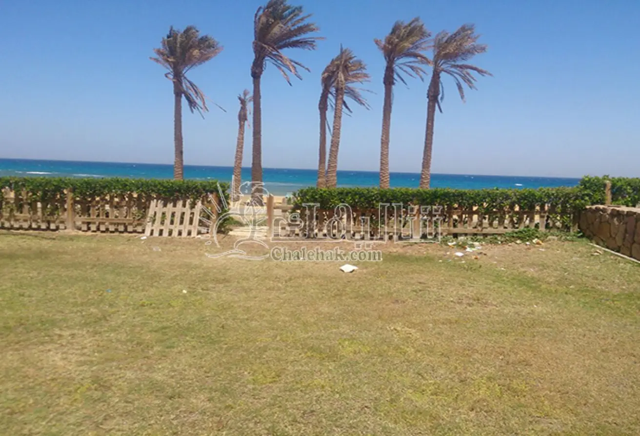 119115667 - الصورة الرئيسية للعقار