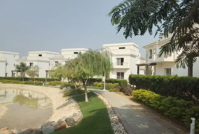 99117002 - Property Image 3
