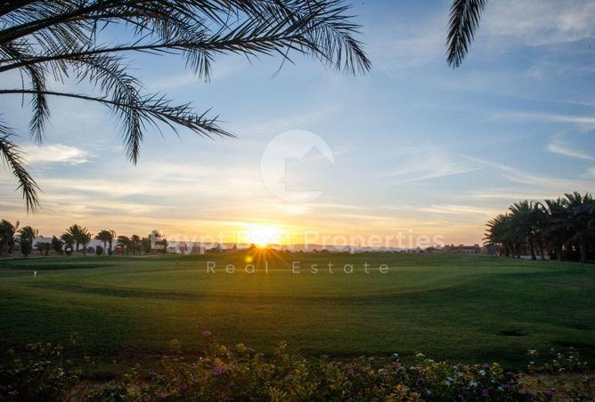 87511298 - صورة العقار 3