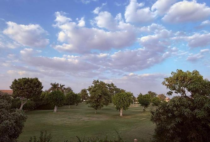 64649383 - صورة العقار 3