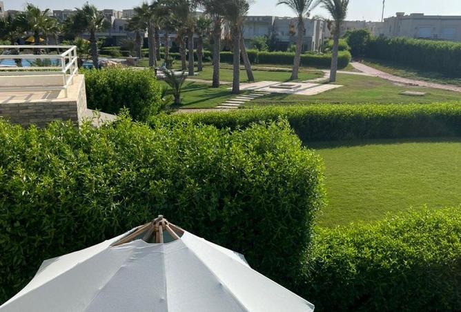 84506757 - صورة العقار 2
