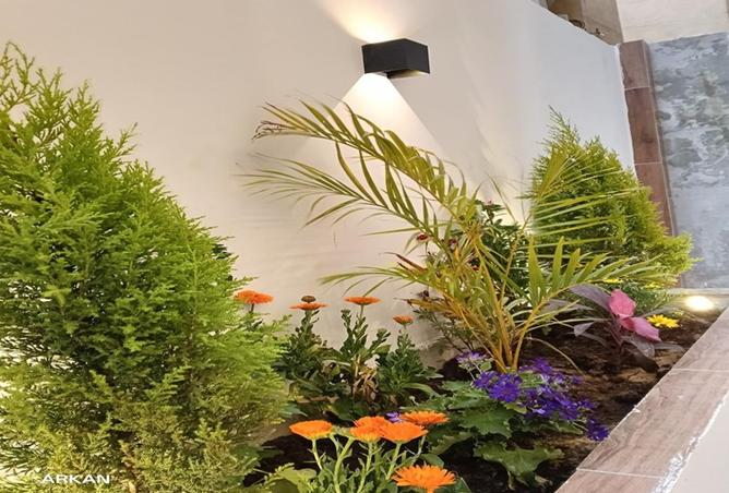 62893763 - صورة العقار 2