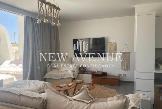 62402516 - Property Image 2