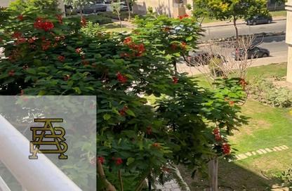 Apartment - 2 - 2 for sale in B6 - Madinaty - Cairo
