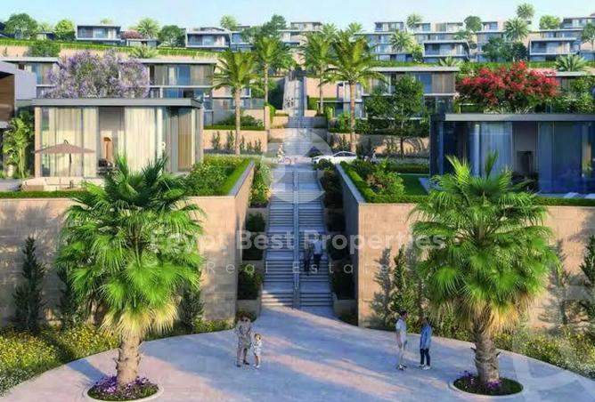 55755988 - صورة العقار 2