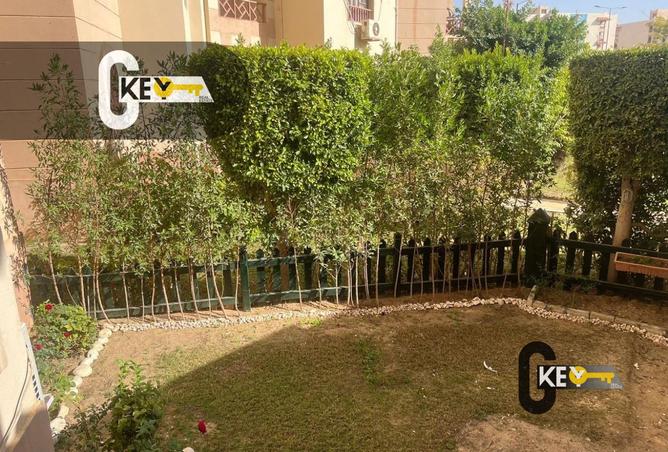 97430073 - صورة العقار 2