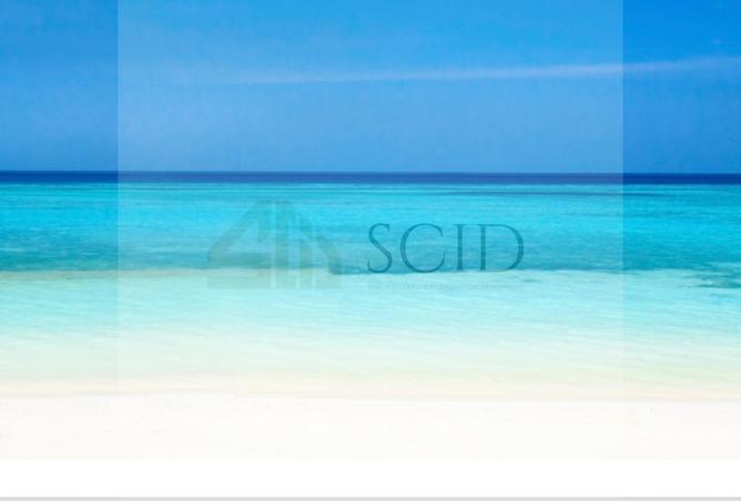 79720820 - صورة العقار 3