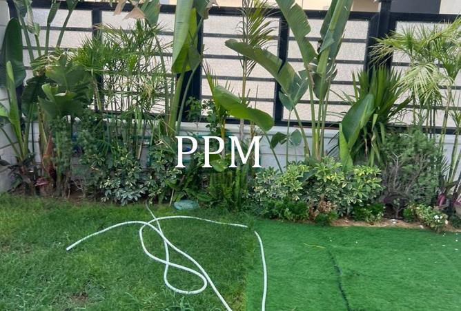 63891686 - صورة العقار 3