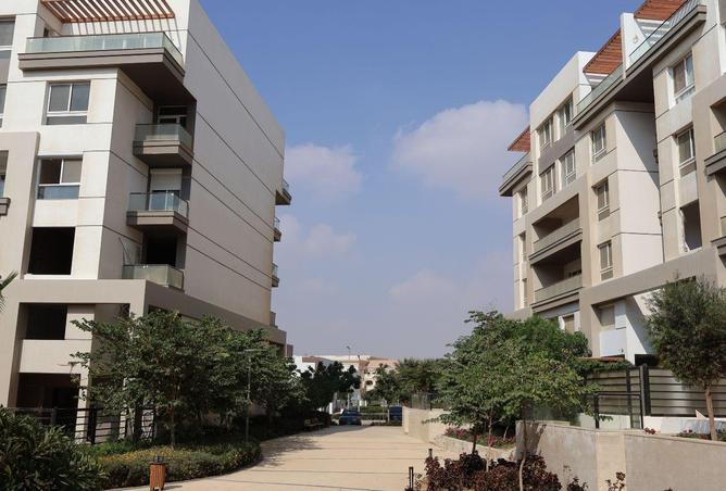 67733659 - Property Image 3