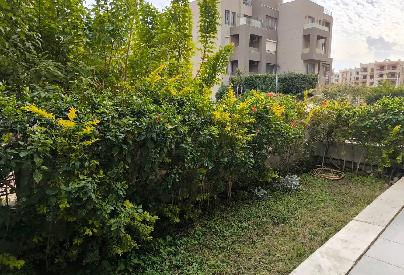 114351488 - الصورة الرئيسية للعقار