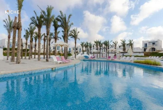 54233306 - صورة العقار 2