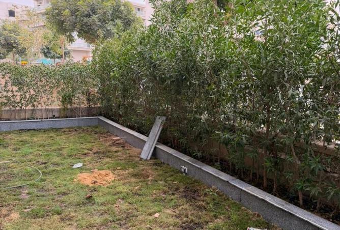 8612208 - Property Image 3