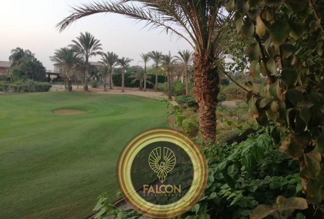 69567648 - صورة العقار 3