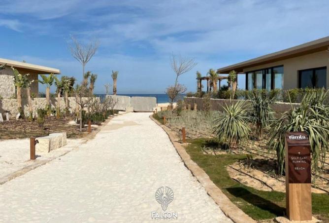 101786416 - Property Image 3