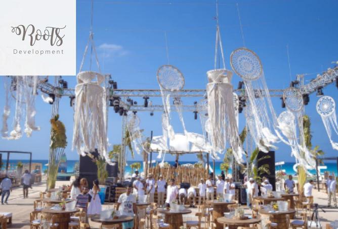 8607906 - Property Image 3