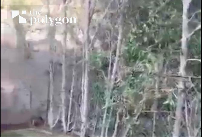 66687695 - صورة العقار 2