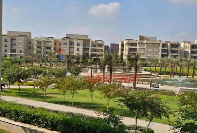 8575967 - Property Image 2