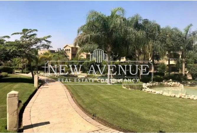 64382382 - صورة العقار 2