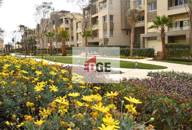 70878361 - Property Main Image