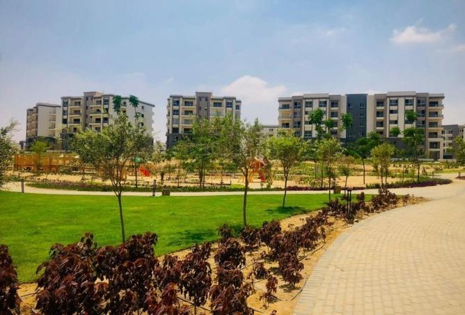 62164012 - صورة العقار 3