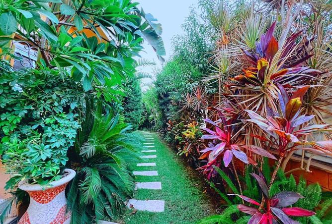 62410248 - صورة العقار 2