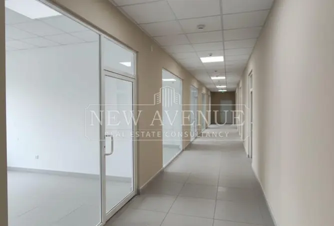 113247646 - Property Image 2