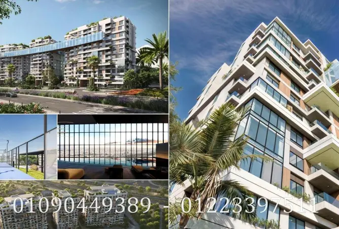 117007298 - Property Image 3