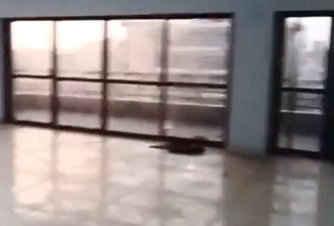 63889665 - صورة العقار 2