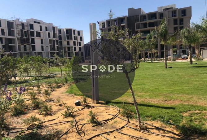 52185101 - صورة العقار 2