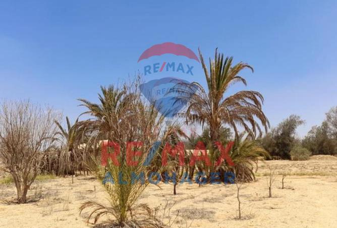 61440798 - صورة العقار 3