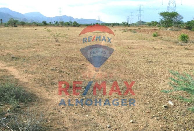 61440798 - صورة العقار 2